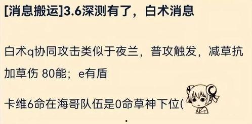 白术爆料最新消息视频,揭秘视频背后的惊人真相